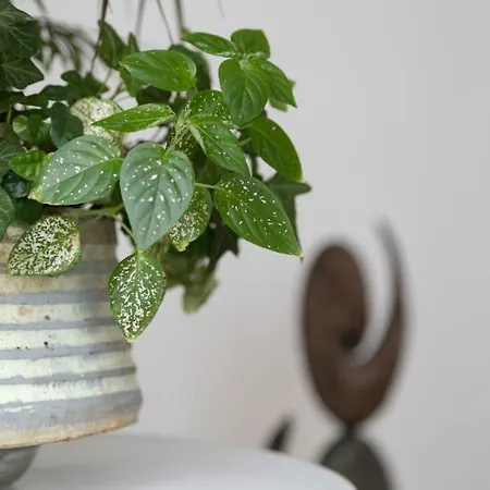 Alexandra Otel Mégas Yialós-Nítes