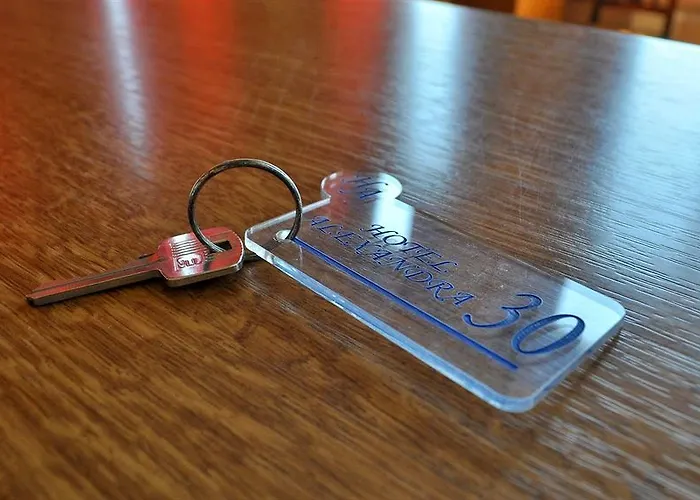 Ξενοδοχείο Alexandra Μέγας Γιαλός-Νίτες